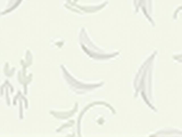 Detaljert tapet med et organisk, naturinspirert mønster i nordisk stil